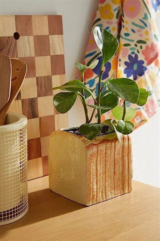Plant & Planter Workshop at Kneads Bakeshop – Harbor East