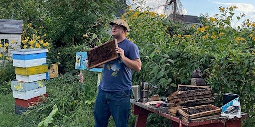 Introduction to Beekeeping in Baltimore