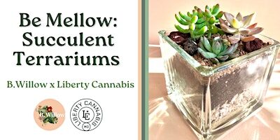 Be Mellow: Medicated Succulent Terrarium Workshop with Liberty Cannabis!