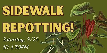 Sidewalk Repotting