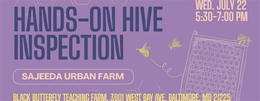 Hands-On Hive Inspection