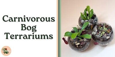 Carnivorous Bog Terrarium Workshop