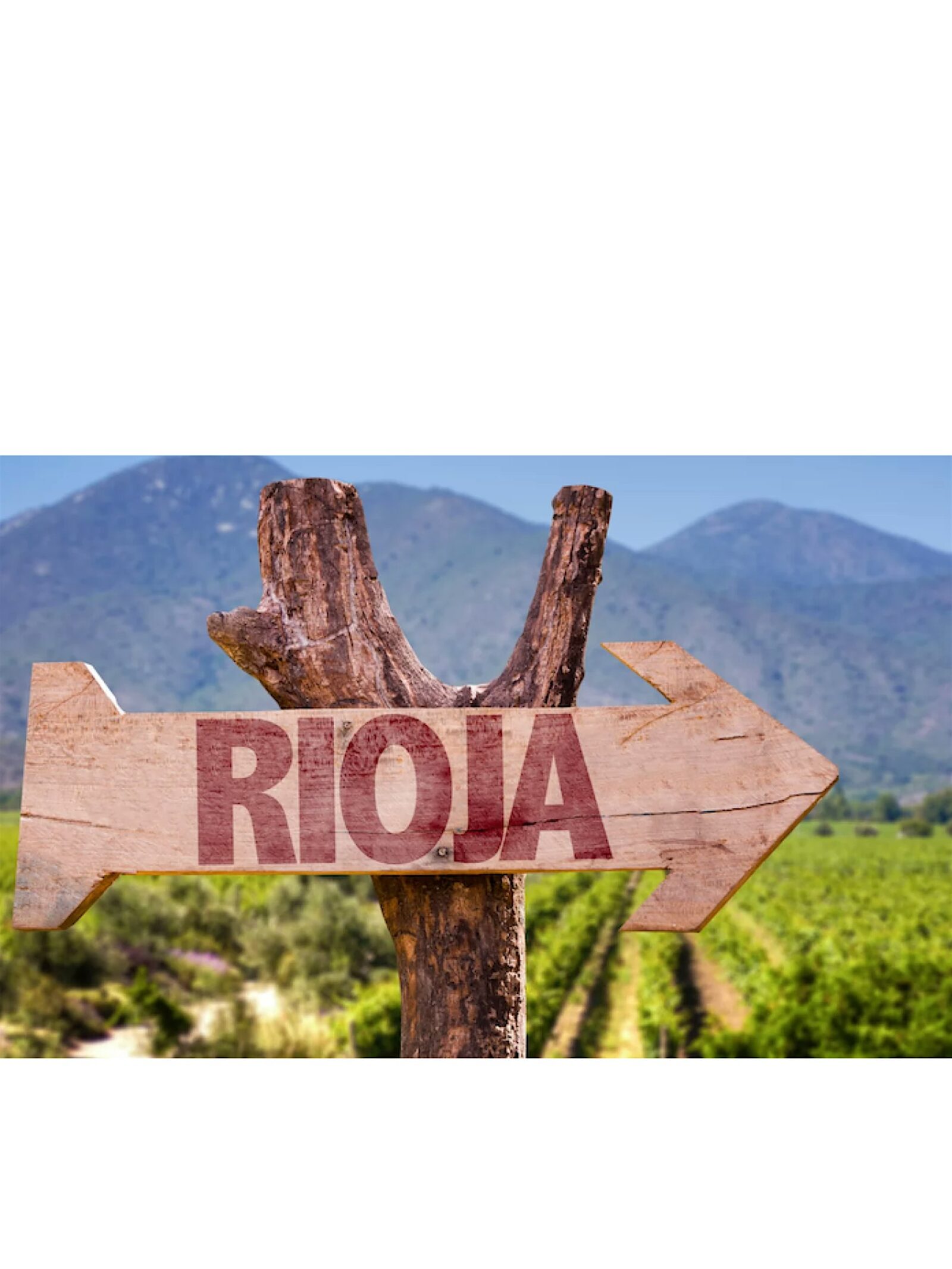 Riemos with Rioja Spanish Wine Dinner