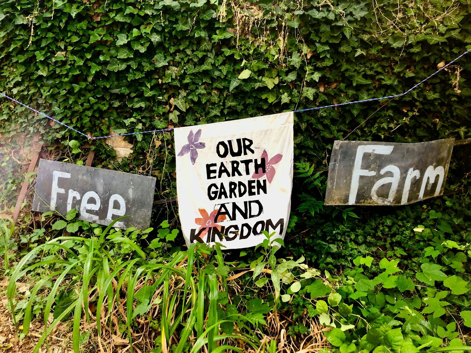 July Collective Garden Weekday Volunteer Day