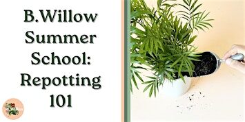 B.Willow Summer School: Repotting 101