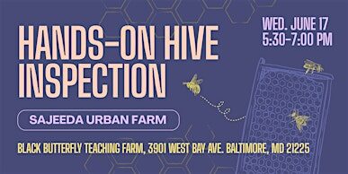 Hands-On Hive Inspection
