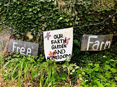 August Collective Garden Weekday Volunteer Day