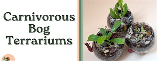 Carnivorous Bog Terrarium Workshop