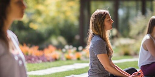 Beginner Vinyasa Flow