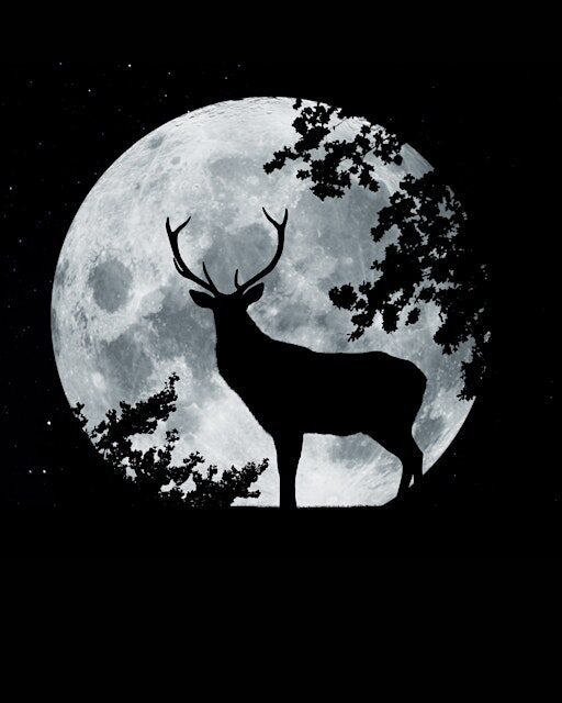 Moon Circle for the Full Buck Moon