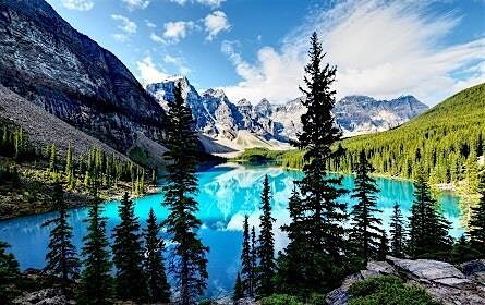 A Stroll through the National Parks Tea