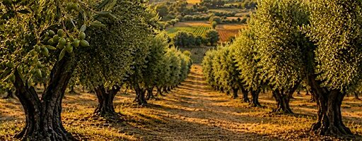 Pompeian Olive Branch Tour organized by Maryland IFT