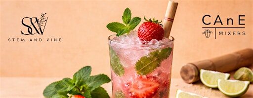 CAnE Seasonal Sips: Monthly Product Drop at Stem & Vine