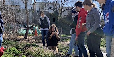 June  Collective Garden Volunteer Day
