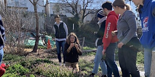 August Collective Garden Volunteer Day
