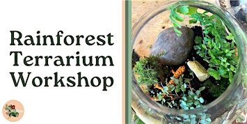 Rainforest Terrarium Workshop