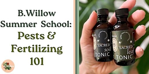 B.Willow Summer School: Pests & Fertillizing 101