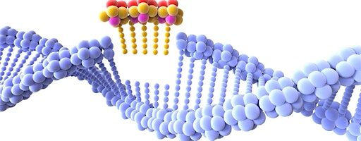 Gene Editing with CRISPR (Adult course for ages 12+)
