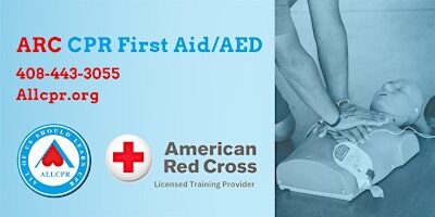 Red Cross Adult&Pediatric First Aid/CPR/AED class in Baltimore 21214