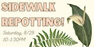 August Sidewalk Repotting