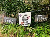 June Collective Garden Weekday Volunteer Day