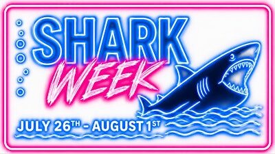 SHARK WEEK AT THE POINT IN FELLS
