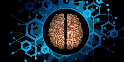 For ages 7-12: How the Brain Works