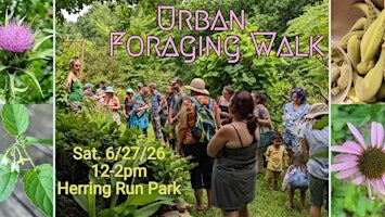 Urban Foraging Walk