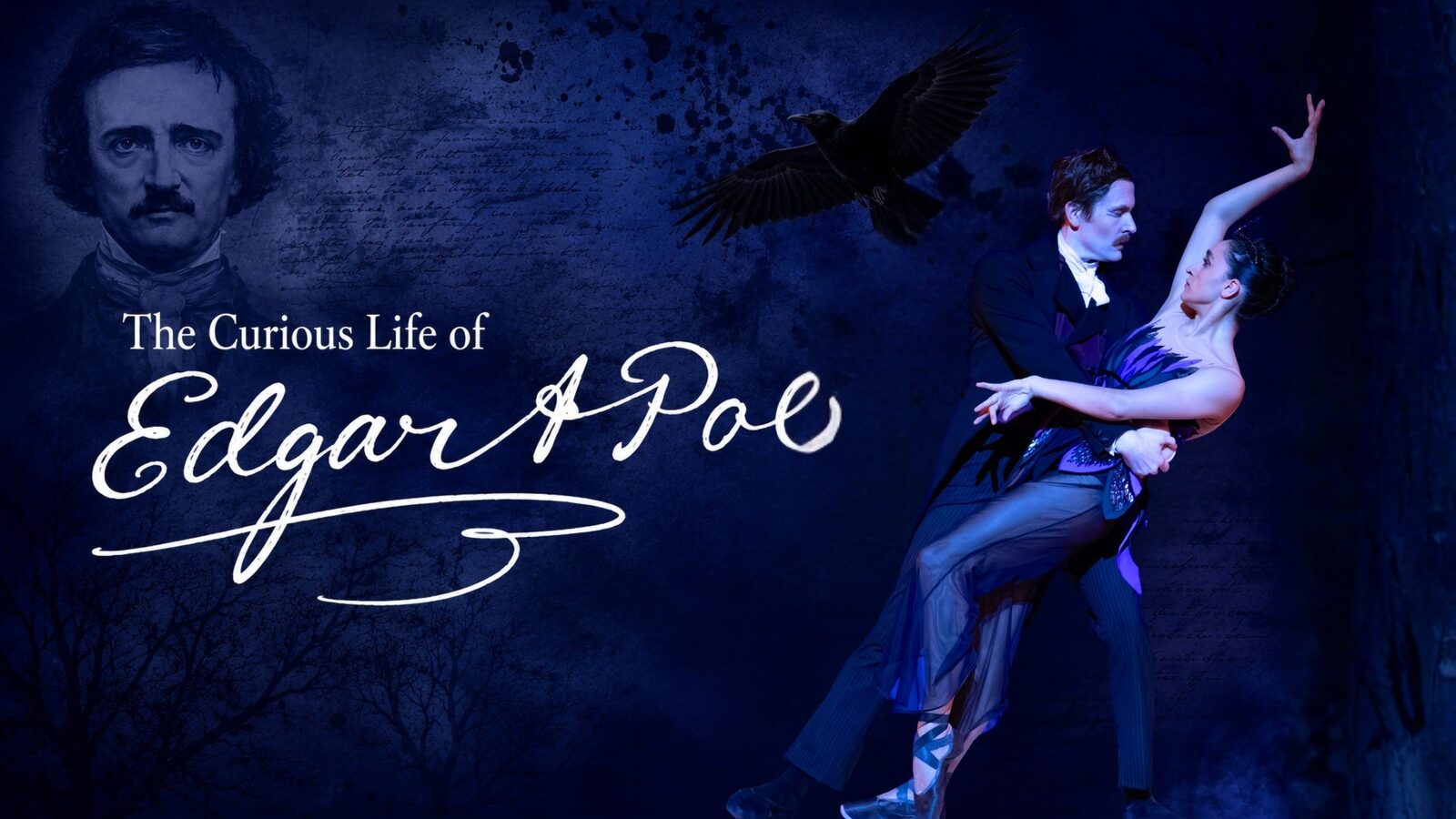 The Curious Life of Edgar Allen Poe